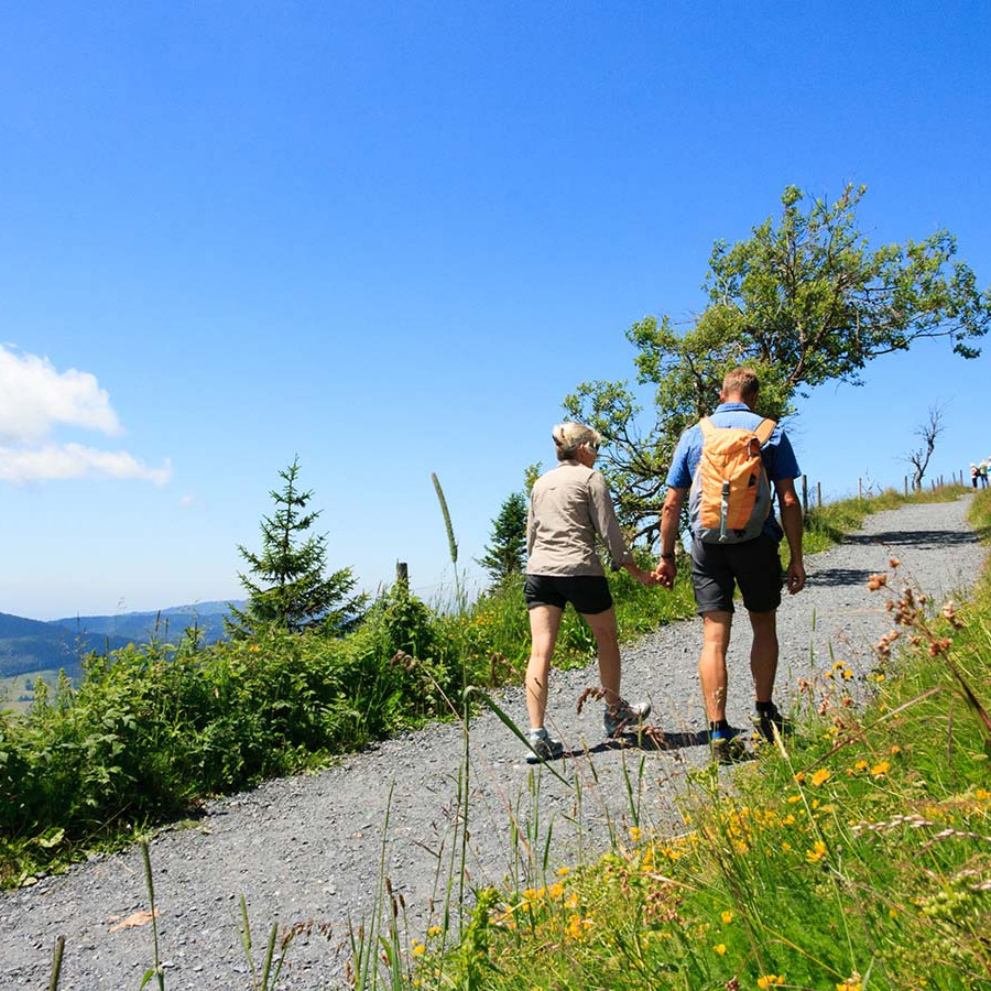 Wandern